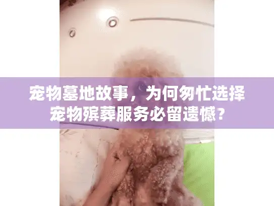 宠物墓地故事，为何匆忙选择宠物殡葬服务必留遗憾？