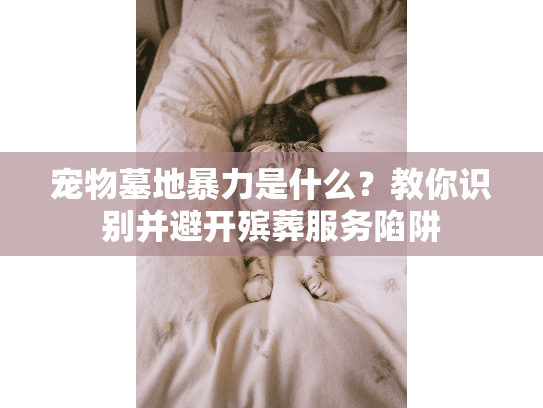 宠物墓地暴力是什么？教你识别并避开殡葬服务陷阱