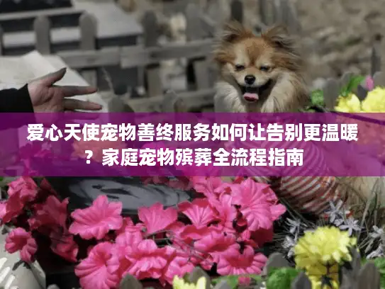 爱心天使宠物善终服务如何让告别更温暖？家庭宠物殡葬全流程指南