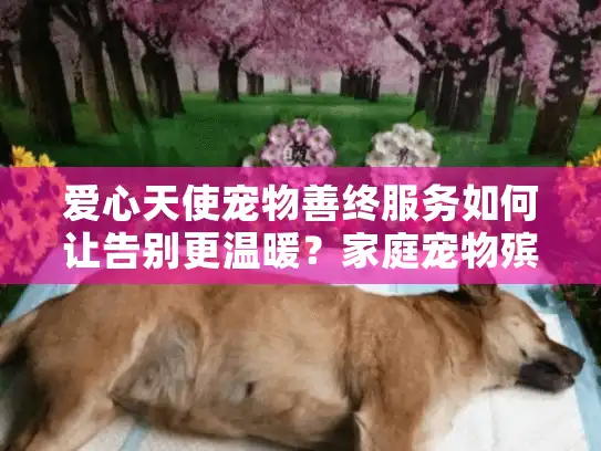 爱心天使宠物善终服务如何让告别更温暖？家庭宠物殡葬全流程指南