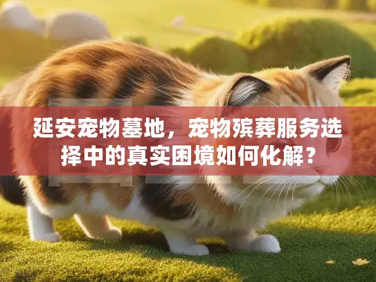 延安宠物墓地,宠物殡葬服务选择中的真实困境如何化解? 延安宠物墓地,宠物殡葬服务选择中的真实困境如何化解?