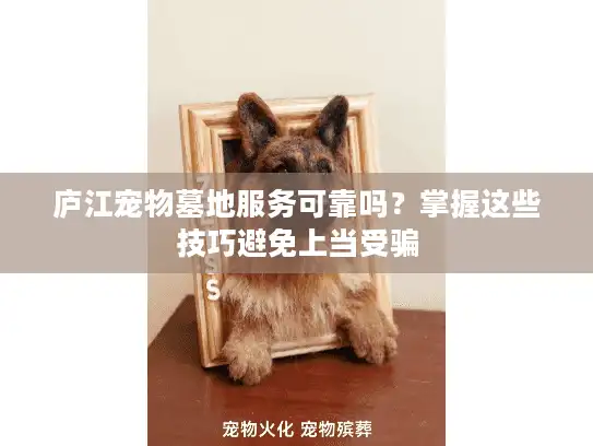 庐江宠物墓地服务可靠吗？掌握这些技巧避免上当受骗