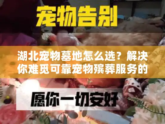 湖北宠物墓地怎么选?解决你难觅可靠宠物殡葬服务的烦恼 湖北宠物墓地怎么选?解决你难觅可靠宠物殡葬服务的烦恼