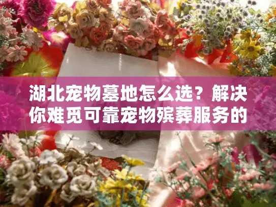 湖北宠物墓地怎么选?解决你难觅可靠宠物殡葬服务的烦恼 湖北宠物墓地怎么选?解决你难觅可靠宠物殡葬服务的烦恼