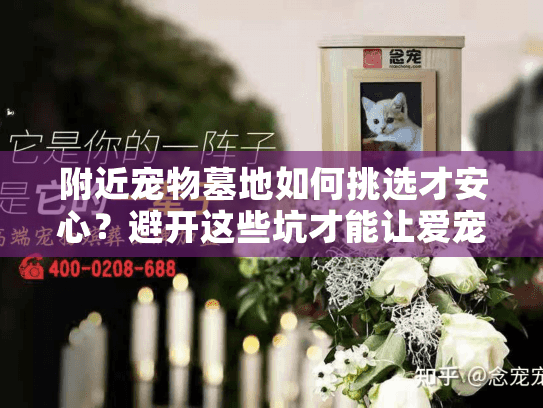 附近宠物墓地如何挑选才安心?避开这些坑才能让爱宠体面长眠 附近宠物墓地如何挑选才安心?避开这些坑才能让爱宠体面长眠