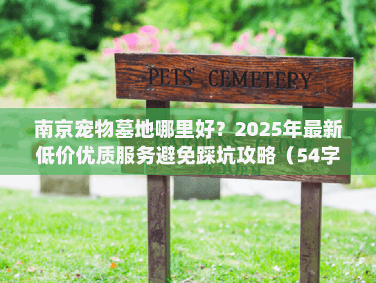 南京宠物墓地哪里好？2025年最新低价优质服务避免踩坑攻略（54字符）