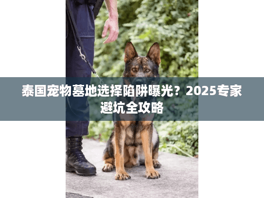 泰国宠物墓地选择陷阱曝光?2025专家避坑全攻略 泰国宠物墓地选择陷阱曝光?2025专家避坑全攻略