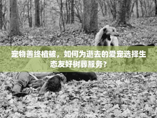 宠物善终植被，如何为逝去的爱宠选择生态友好树葬服务？