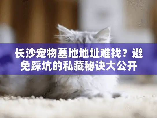 长沙宠物墓地地址难找？避免踩坑的私藏秘诀大公开