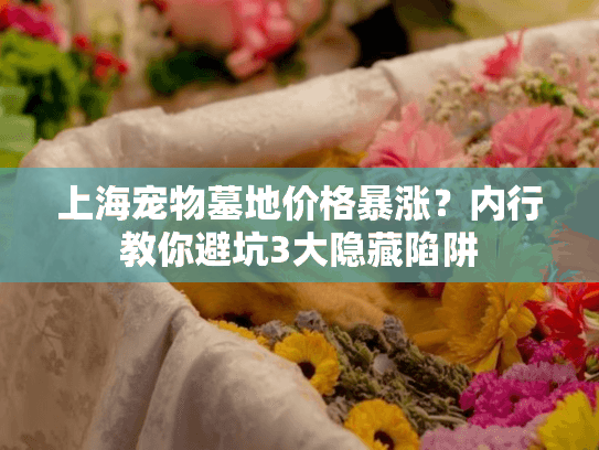 上海宠物墓地价格暴涨？内行教你避坑3大隐藏陷阱