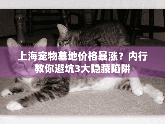 上海宠物墓地价格暴涨？内行教你避坑3大隐藏陷阱