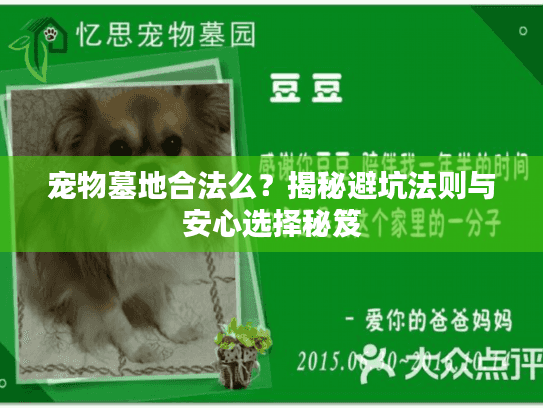 宠物墓地合法么？揭秘避坑法则与安心选择秘笈