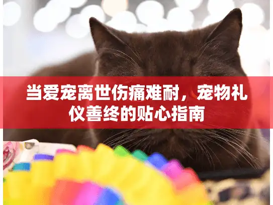 当爱宠离世伤痛难耐，宠物礼仪善终的贴心指南