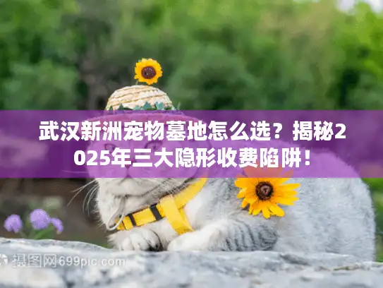 武汉新洲宠物墓地怎么选？揭秘2025年三大隐形收费陷阱！