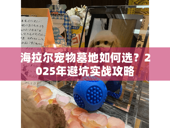 海拉尔宠物墓地如何选?2025年避坑实战攻略 海拉尔宠物墓地如何选?2025年避坑实战攻略