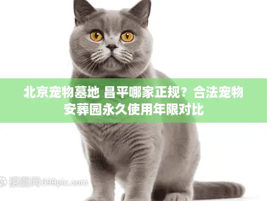 北京宠物墓地 昌平哪家正规？合法宠物安葬园永久使用年限对比