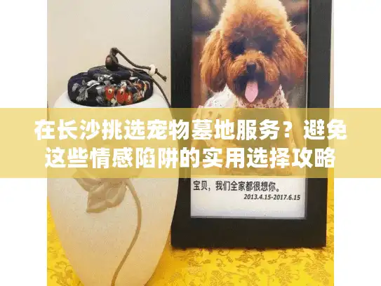 在长沙挑选宠物墓地服务？避免这些情感陷阱的实用选择攻略