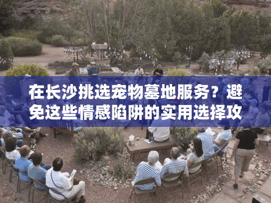 在长沙挑选宠物墓地服务？避免这些情感陷阱的实用选择攻略