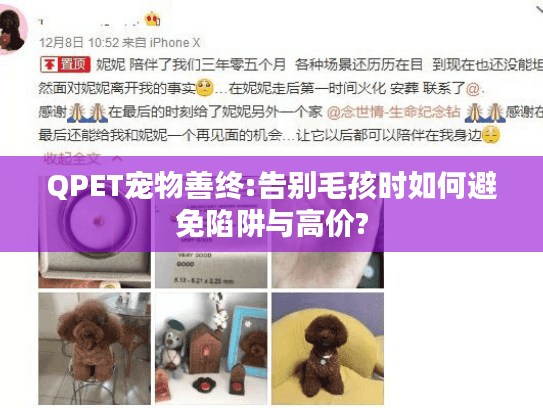 QPET宠物善终:告别毛孩时如何避免陷阱与高价?