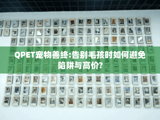 QPET宠物善终:告别毛孩时如何避免陷阱与高价?