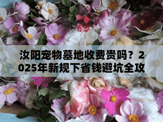 汝阳宠物墓地收费贵吗？2025年新规下省钱避坑全攻略