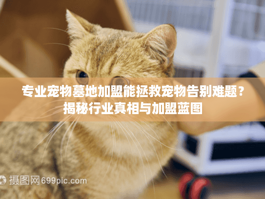 专业宠物墓地加盟能拯救宠物告别难题？揭秘行业真相与加盟蓝图