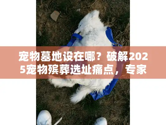 宠物墓地设在哪？破解2025宠物殡葬选址痛点，专家级选址决策术！