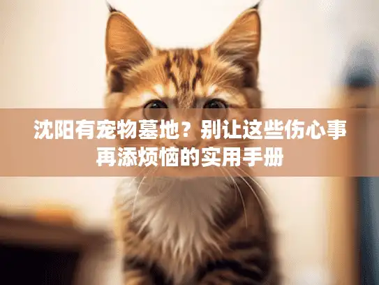 沈阳有宠物墓地?别让这些伤心事再添烦恼的实用手册 沈阳有宠物墓地?别让这些伤心事再添烦恼的实用手册