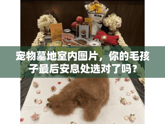 宠物墓地室内图片，你的毛孩子最后安息处选对了吗？