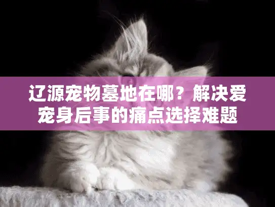 辽源宠物墓地在哪？解决爱宠身后事的痛点选择难题