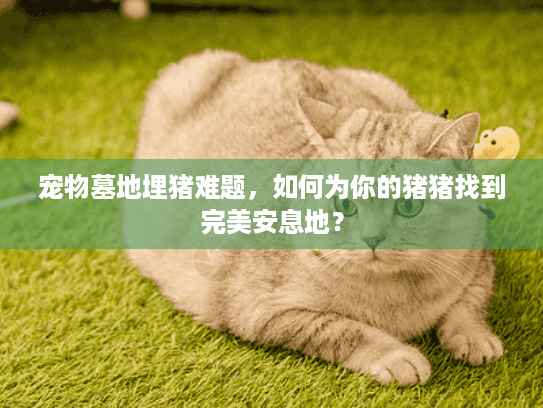 宠物墓地埋猪难题，如何为你的猪猪找到完美安息地？