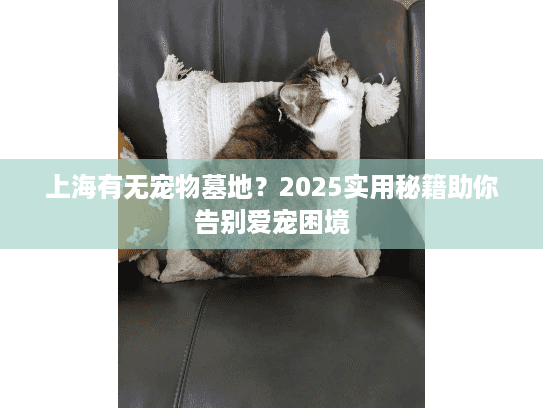 上海有无宠物墓地？2025实用秘籍助你告别爱宠困境