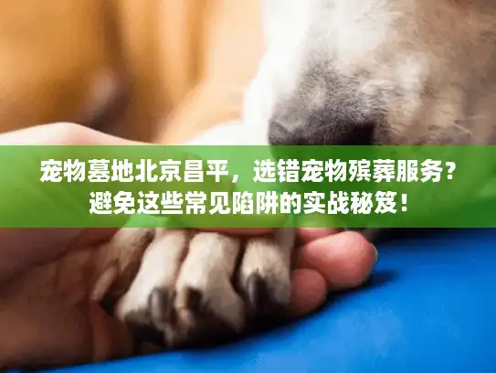 宠物墓地北京昌平，选错宠物殡葬服务？避免这些常见陷阱的实战秘笈！