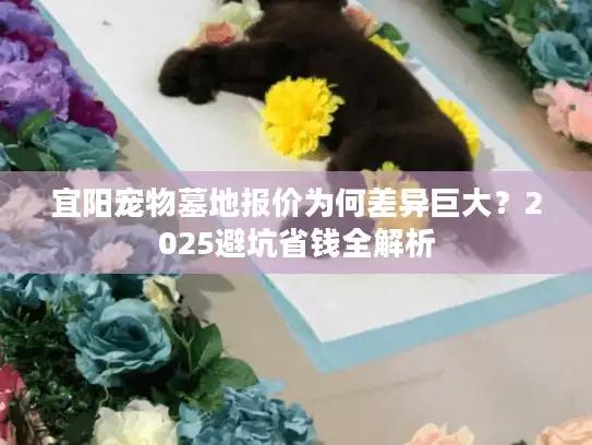 宜阳宠物墓地报价为何差异巨大？2025避坑省钱全解析