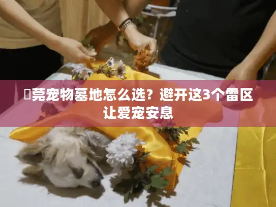 東莞宠物墓地怎么选？避开这3个雷区让爱宠安息
