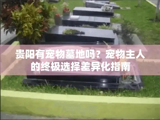 贵阳有宠物墓地吗?宠物主人的终极选择差异化指南 贵阳有宠物墓地吗?宠物主人的终极选择差异化指南