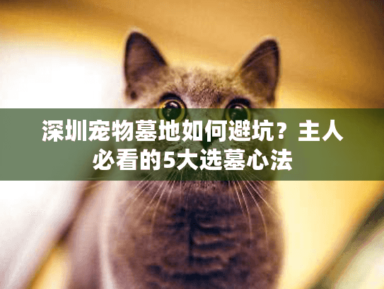 深圳宠物墓地如何避坑?主人必看的5大选墓心法 深圳宠物墓地如何避坑?主人必看的5大选墓心法