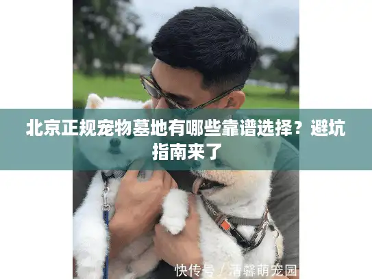 北京正规宠物墓地有哪些靠谱选择？避坑指南来了