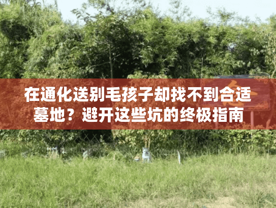 在通化送别毛孩子却找不到合适墓地？避开这些坑的终极指南