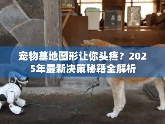 宠物墓地图形让你头疼？2025年最新决策秘籍全解析