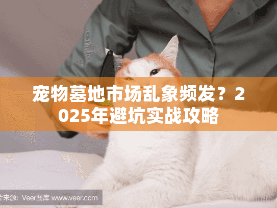 宠物墓地市场乱象频发？2025年避坑实战攻略