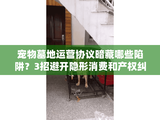 宠物墓地运营协议暗藏哪些陷阱？3招避开隐形消费和产权纠纷