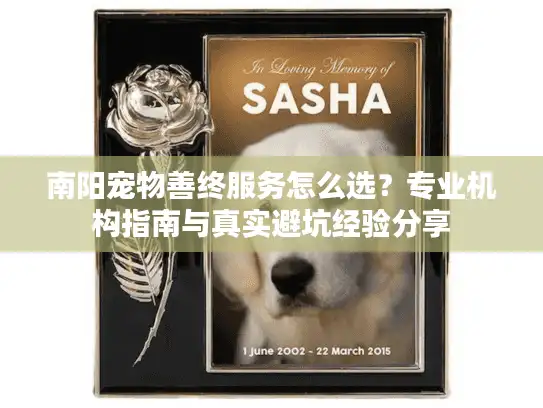 南阳宠物善终服务怎么选？专业机构指南与真实避坑经验分享