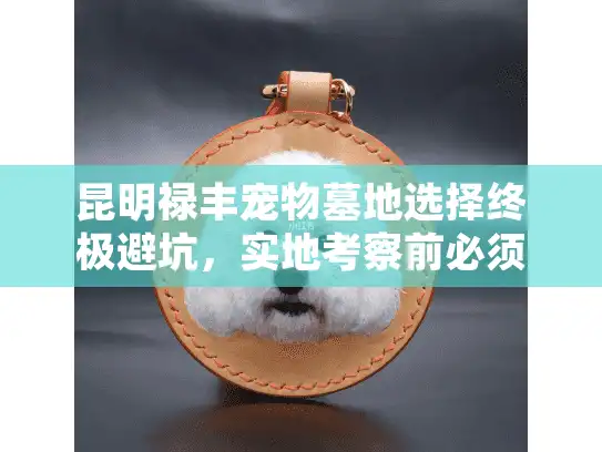 昆明禄丰宠物墓地选择终极避坑，实地考察前必须掌握的6个真相