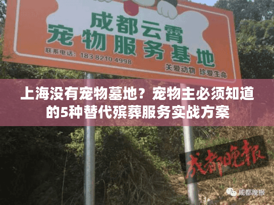 上海没有宠物墓地?宠物主必须知道的5种替代殡葬服务实战方案 上海没有宠物墓地?宠物主必须知道的5种替代殡葬服务实战方案