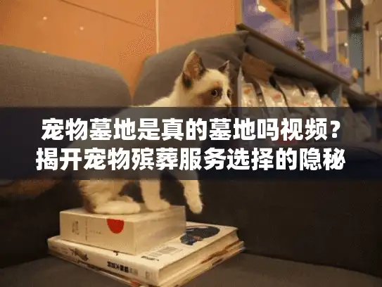 宠物墓地是真的墓地吗视频？揭开宠物殡葬服务选择的隐秘真相