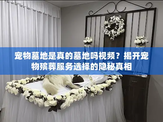 宠物墓地是真的墓地吗视频？揭开宠物殡葬服务选择的隐秘真相