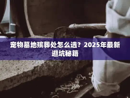 宠物墓地殡葬处怎么选？2025年最新避坑秘籍
