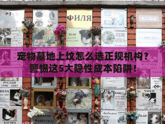宠物墓地上坟怎么选正规机构？警惕这5大隐性成本陷阱！