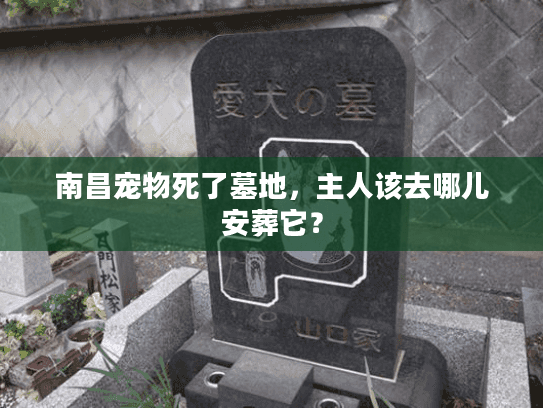 南昌宠物死了墓地，主人该去哪儿安葬它？